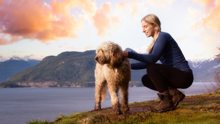 Fuel Your Adventure: Best Dog Food for Hiking Trips"