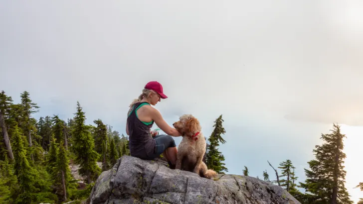 Happy Trails: Hiking Dog Food Essentials