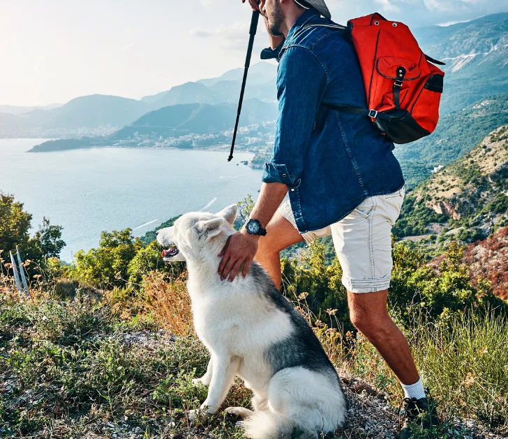 Hiking Dog Food