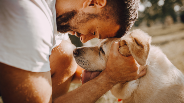 Hiking Dog Food: Optimal Nutrition for Active Pups