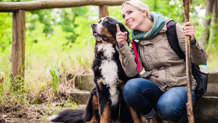 Nourishing the Explorer: Hiking Dog Food Solutions