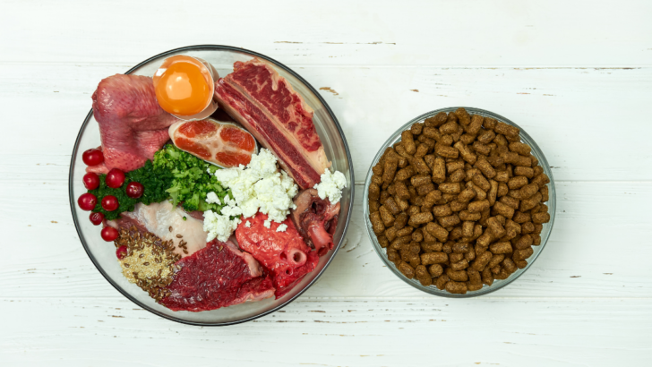 Tailored Nutrition: Hiking Dog Food Selection