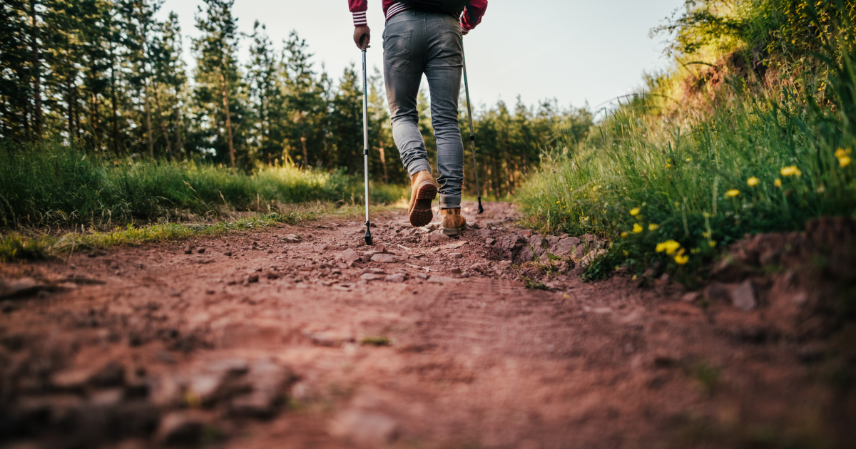 How to Use Walking Poles Correctly A Confident Guide Hike Muse Inspiring Hikers Everywhere
