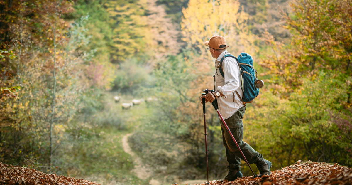 How to Use Walking Poles Correctly A Confident Guide Hike Muse Inspiring Hikers Everywhere