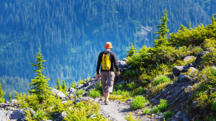 Hiking High: The Thrill That Keeps You Coming Back