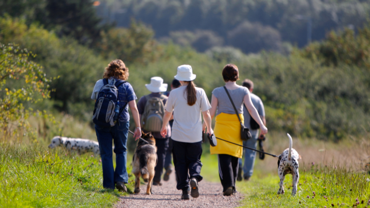How Hiking Is Different From Brisk Walking