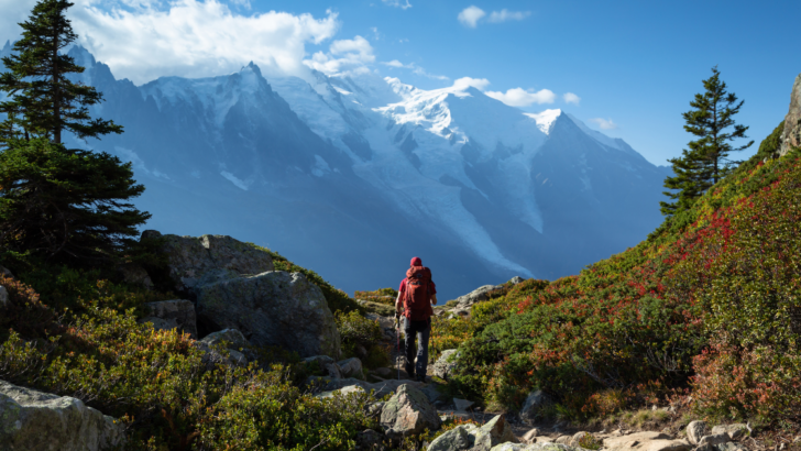 Neuroscience of Nature: How Hiking Reshapes Your Brain