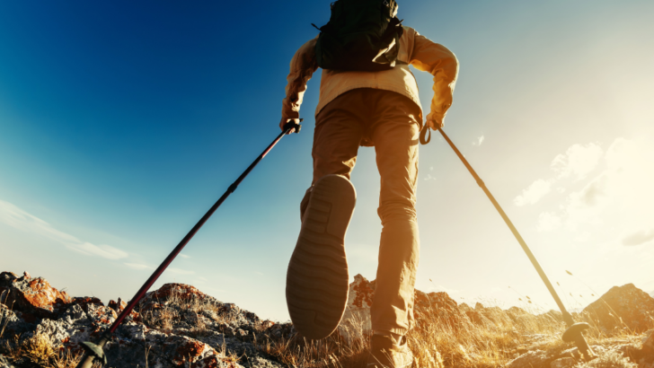 Pole Perfect: Selecting the Best Hiking Pole Tips for Your Journey