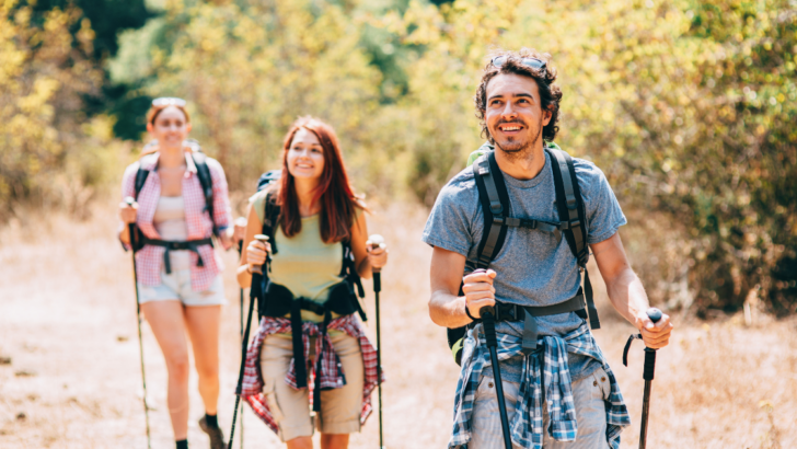 Strides Apart: Exploring Hiking vs. Brisk Walking"