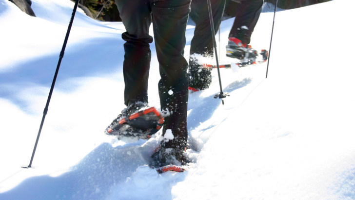Trail-Worthy Traction: Deciding Which Hiking Pole Tips Suit You