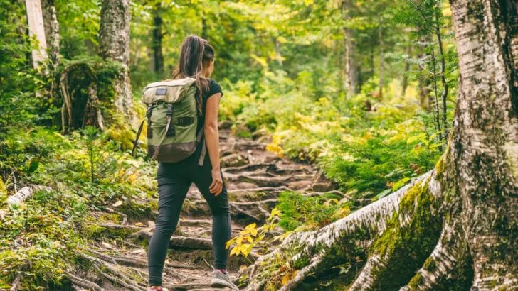 Trailblazing Your Fitness Journey: Hiking's Powerful Impact