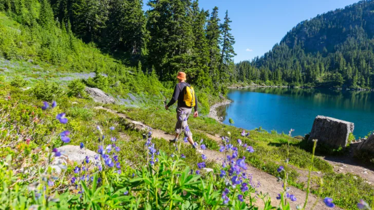 Walking to Wellness: Hiking's Transformative Brain Effects