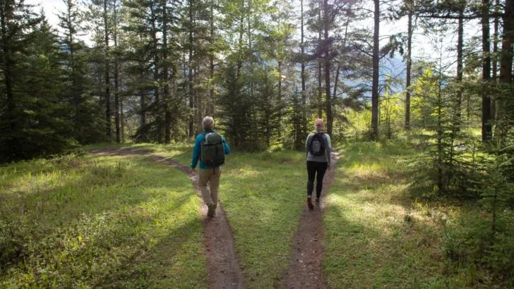 Longest Hiking Trail in North America Explained